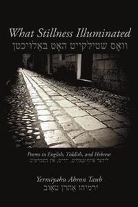 bokomslag What Stillness Illuminated: Poems in English, Yiddish, and Hebrew