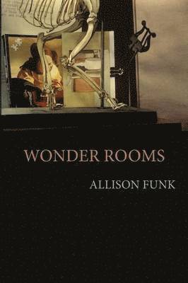 bokomslag Wonder Rooms