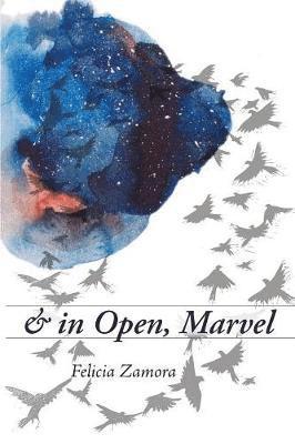 bokomslag & in Open, Marvel