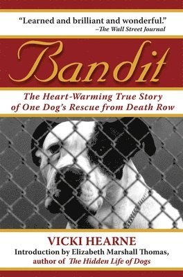 Bandit 1