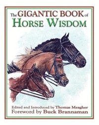 bokomslag The Gigantic Book of Horse Wisdom