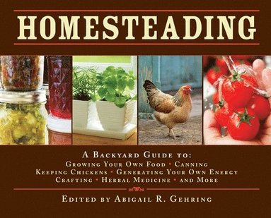 bokomslag Homesteading