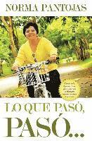 bokomslag Lo que pasó, pasó...