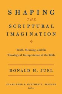 bokomslag Shaping the Scriptural Imagination