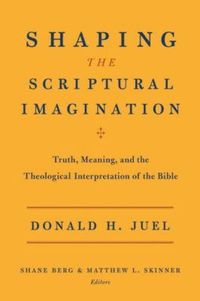 bokomslag Shaping the Scriptural Imagination