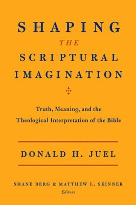 bokomslag Shaping the Scriptural Imagination