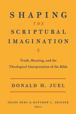 bokomslag Shaping the Scriptural Imagination