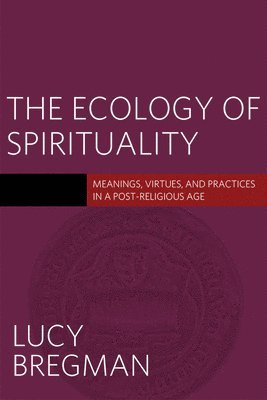 bokomslag The Ecology of Spirituality