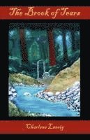bokomslag Brook of Tears