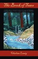 Charlene Lassig - Brook of Tears, Häftad