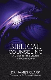 bokomslag Biblical Counseling