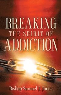 bokomslag Breaking The Spirit Of Addiction