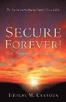 bokomslag Secure Forever! God's Promise or Our Perseverance?