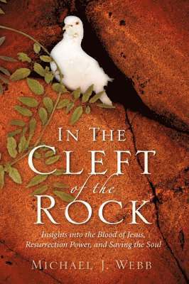 In The Cleft Of The Rock 1