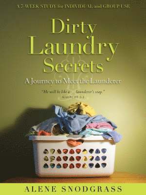 bokomslag Dirty Laundry Secrets