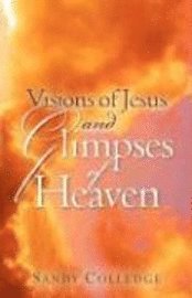 bokomslag Visions of Jesus and Glimpses of Heaven