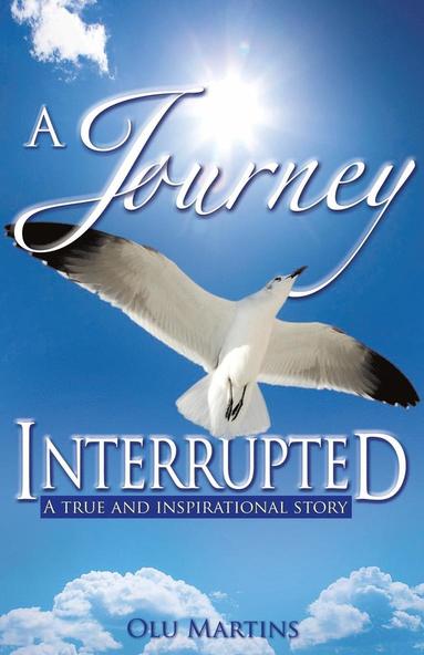 bokomslag Journey Interrupted