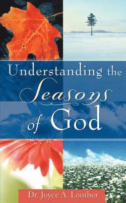 bokomslag Understanding the Seasons of God