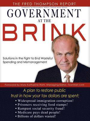 bokomslag Government at the Brink: The Root Causes of Government Waste and Mismanagement