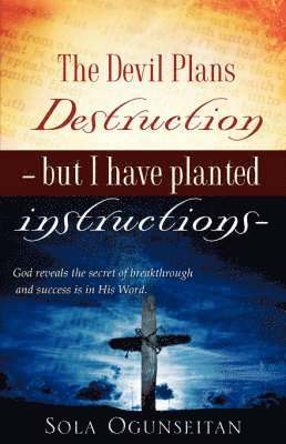 Sola Ogunseitan - Devil Plans Destruction -But I Have Planted Instructions-, Inbunden