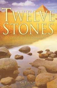 bokomslag Twelve Stones