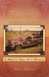 bokomslag A Traumatic Brain Injury