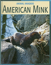 Susan H. Gray - American Mink, Inbunden