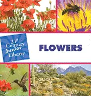 Christine Petersen - Flowers, Inbunden. Tillgänglighet: Lägg i varukorg