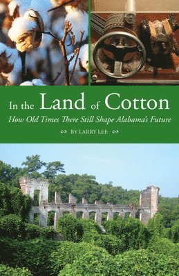In the Land of Cotton 1