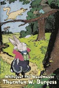 bokomslag Whitefoot the Woodmouse by Thornton Burgess, Fiction, Animals, Fantasy & Magic