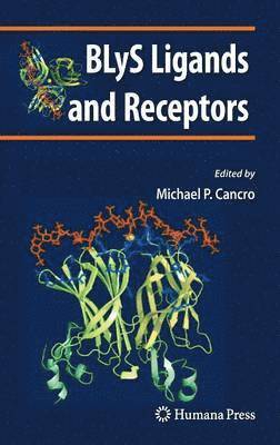 BLyS Ligands and Receptors