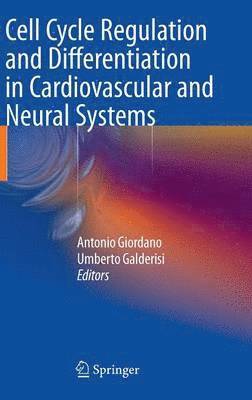 Cell Cycle Regulation and Differentiation in Cardiovascular and Neural Systems 1