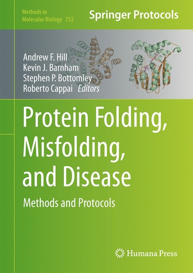 bokomslag Protein Folding, Misfolding, and Disease