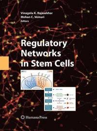 bokomslag Regulatory Networks in Stem Cells