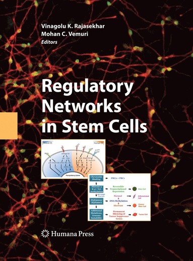 bokomslag Regulatory Networks in Stem Cells