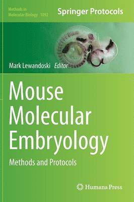 bokomslag Mouse Molecular Embryology