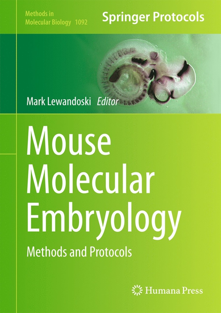 Mark Lewandoski - Mouse Molecular Embryology, Inbunden