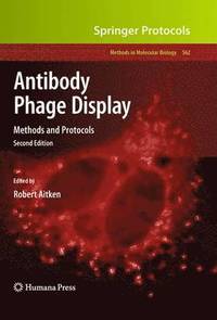 bokomslag Antibody Phage Display