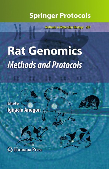 bokomslag Rat Genomics