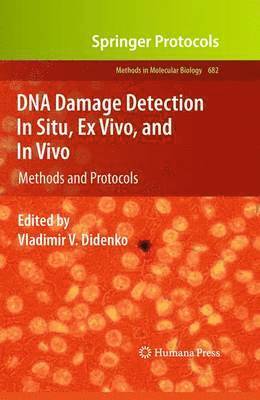 Vladimir V. Didenko - DNA Damage Detection In Situ, Ex Vivo, and In Vivo, Inbunden