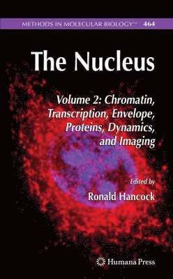 The Nucleus 1