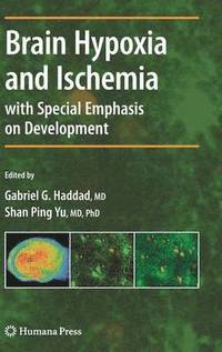 bokomslag Brain Hypoxia and Ischemia