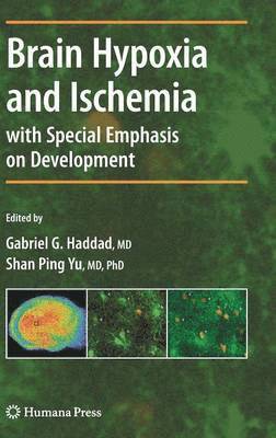 Brain Hypoxia and Ischemia 1