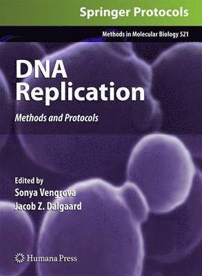 bokomslag DNA Replication