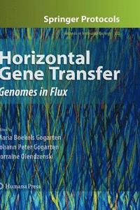 bokomslag Horizontal Gene Transfer