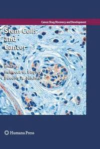 bokomslag Stem Cells and Cancer