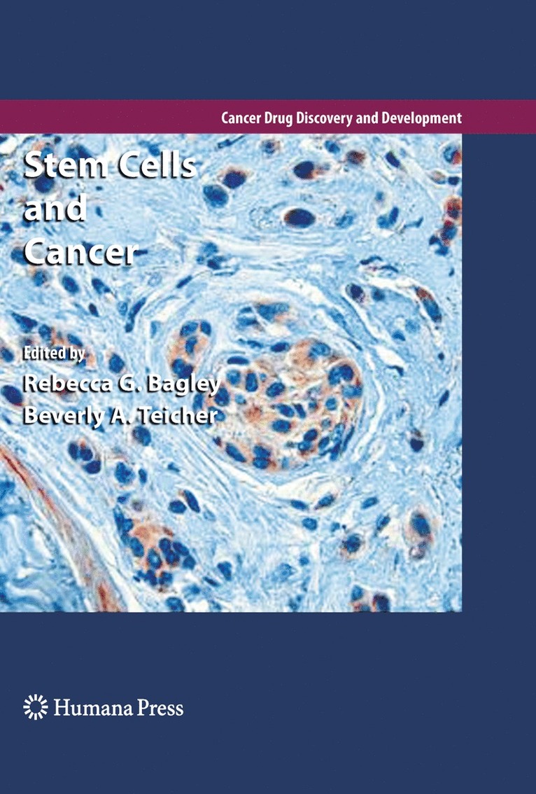 Rebecca G. Bagley, Beverly A. Teicher - Stem Cells and Cancer, Inbunden