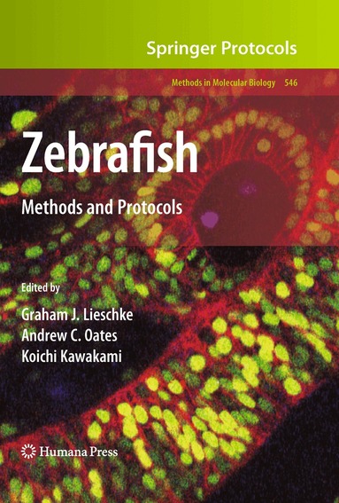 Graham J. Lieschke, Andrew C. Oates, Koichi Kawakami - Zebrafish, Inbunden