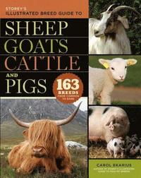 bokomslag Storey's Illustrated Breed Guide to Sheep, Goats, Cattle and Pigs