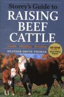 Storeys Guife to Raising Beef Cattle